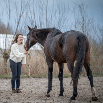 Als jij je paard geen leermomenten bied, wie dan wel?